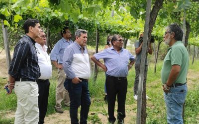 CONFEAGRO se reúne en Tarija para conformar la Cámara Agroindustrial de Tarija