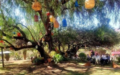 Un histórico algarrobo «llama» a los turistas a visitar una hacienda en el centro de Bolivia