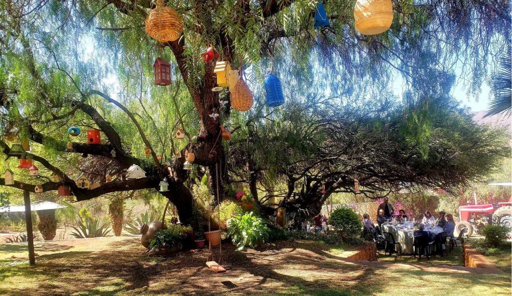 Un histórico algarrobo «llama» a los turistas a visitar una hacienda en el centro de Bolivia
